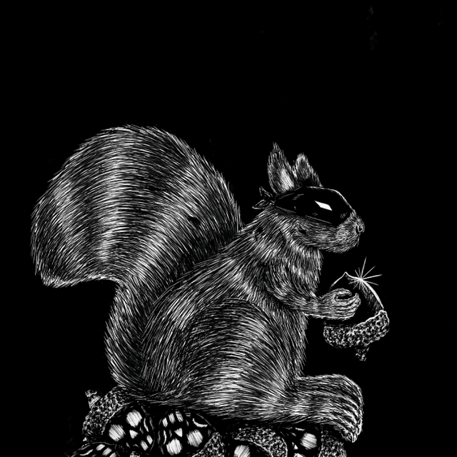 L'écureuil chanceux - Collection animaux