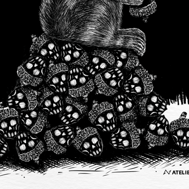 L'écureuil chanceux - Collection animaux
