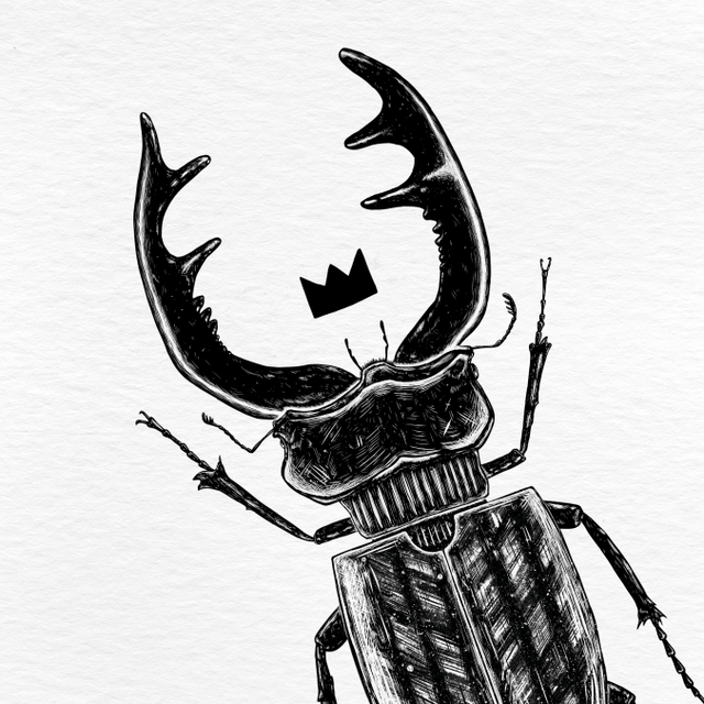 Le roi scarabée - Collection animaux