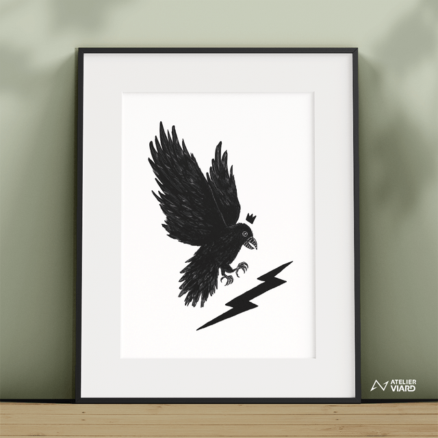 Corbeau - Collection animaux