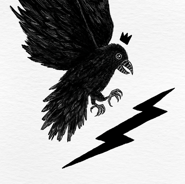 Corbeau - Collection animaux
