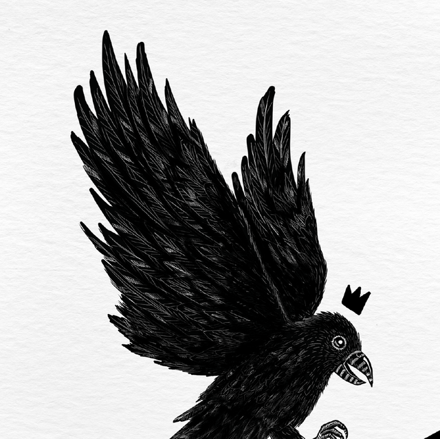 Corbeau - Collection animaux