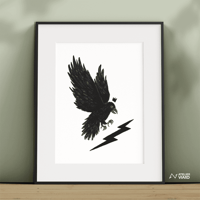 Corbeau - Collection animaux